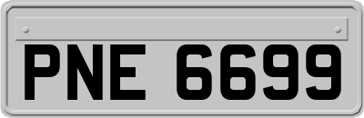 PNE6699