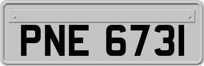 PNE6731