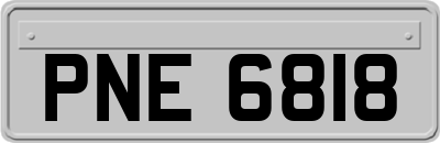 PNE6818