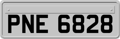 PNE6828