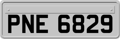PNE6829