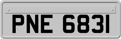 PNE6831