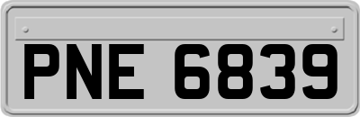 PNE6839