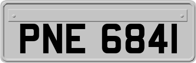 PNE6841