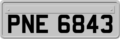 PNE6843