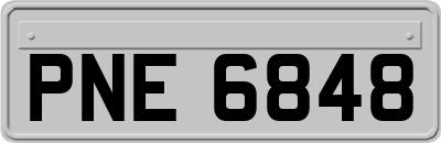 PNE6848