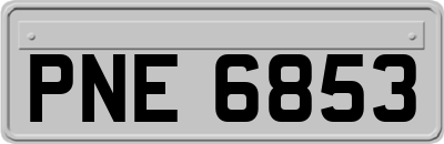PNE6853