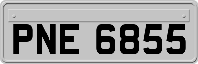 PNE6855