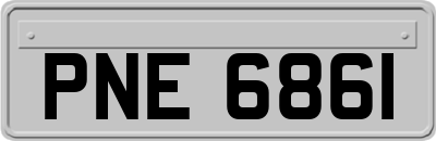 PNE6861