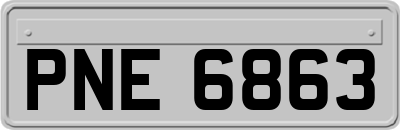PNE6863