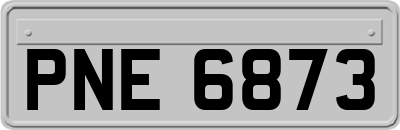 PNE6873