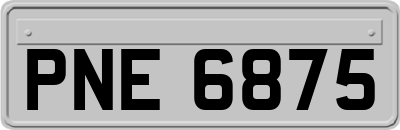 PNE6875