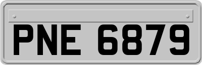 PNE6879