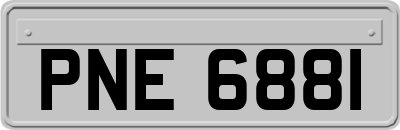 PNE6881