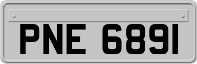 PNE6891