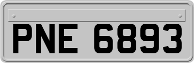PNE6893