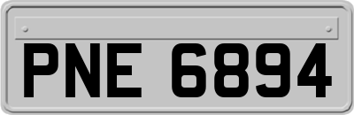 PNE6894