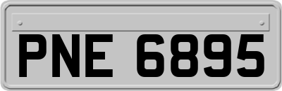 PNE6895