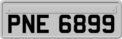 PNE6899