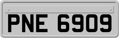 PNE6909