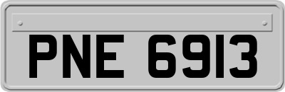 PNE6913