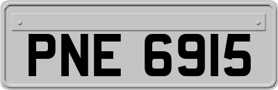 PNE6915