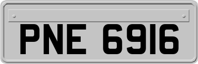 PNE6916