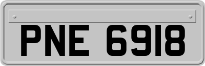 PNE6918