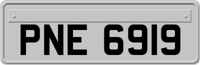 PNE6919