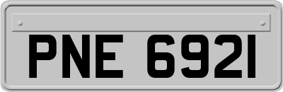 PNE6921