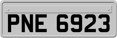 PNE6923