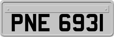 PNE6931