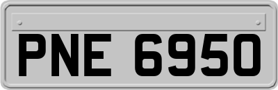 PNE6950