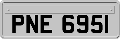 PNE6951
