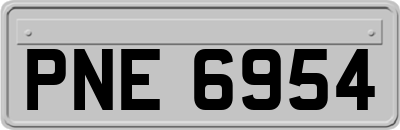 PNE6954