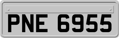 PNE6955