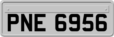 PNE6956