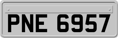 PNE6957