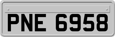 PNE6958