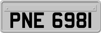 PNE6981