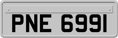 PNE6991