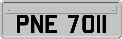 PNE7011