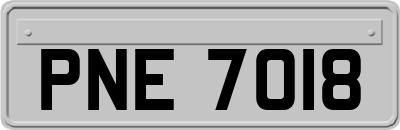 PNE7018