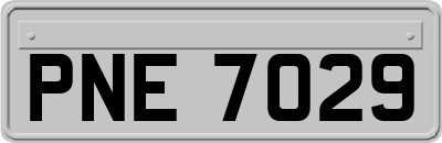 PNE7029