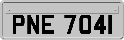 PNE7041