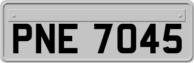 PNE7045