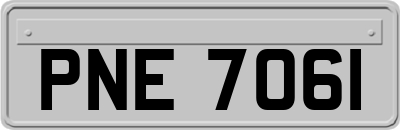 PNE7061