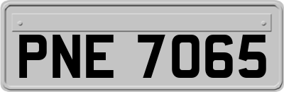 PNE7065