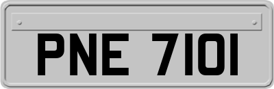 PNE7101