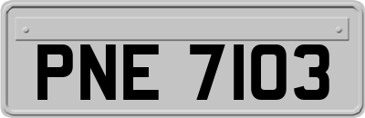 PNE7103